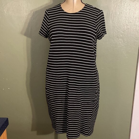 J Jill Shift Dress Wms Sz Medium Black White Striped Pockets Knee Length Cotton - Picture 1 of 9